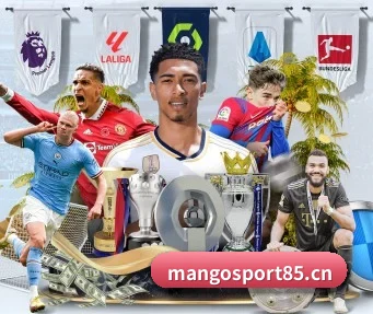 皇冠体育sport85 APP
